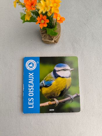 Livre sonore Les oiseaux Auzou