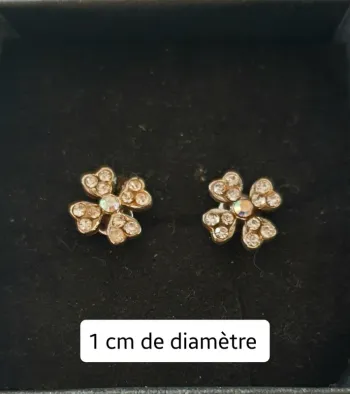 Boucles d'oreilles argentées