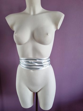 Ceinture en tissus rayé