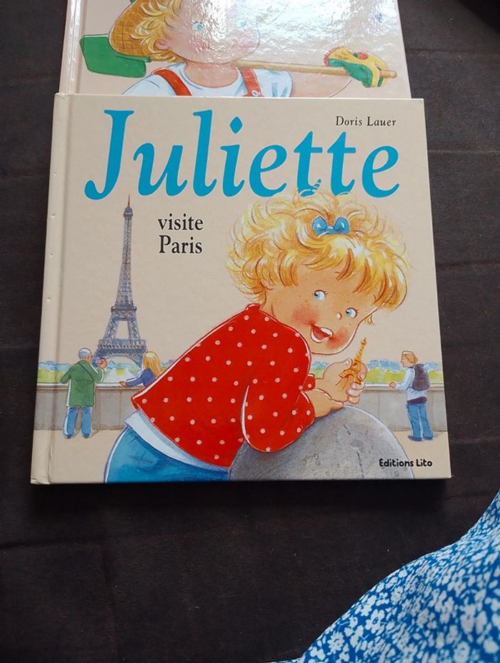 Lot 2 livres - photo numéro 2