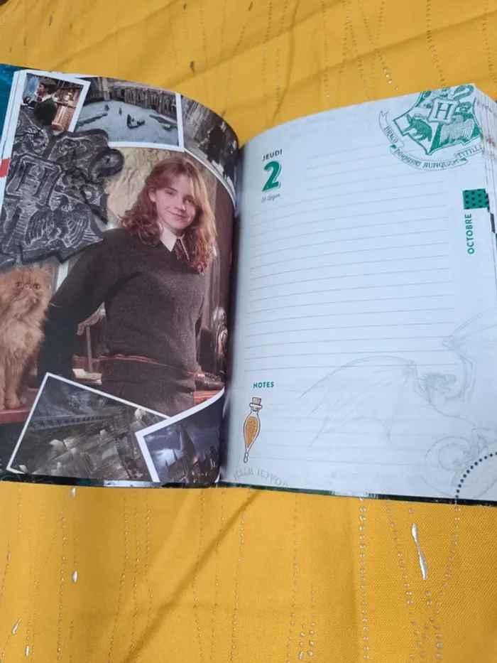 Agenda Harry Potter 2025-2026 Neuf - photo numéro 7