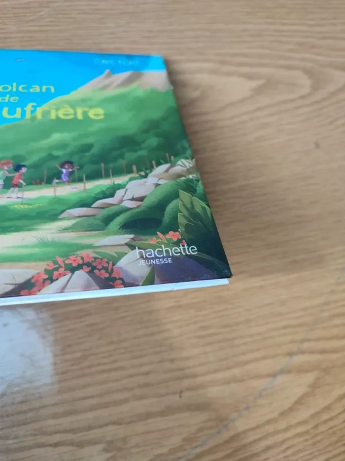 Livre le volcan de la Soufrière - photo numéro 3