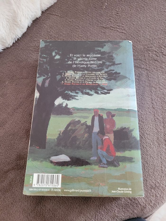 Livre Harry Potter - photo numéro 2