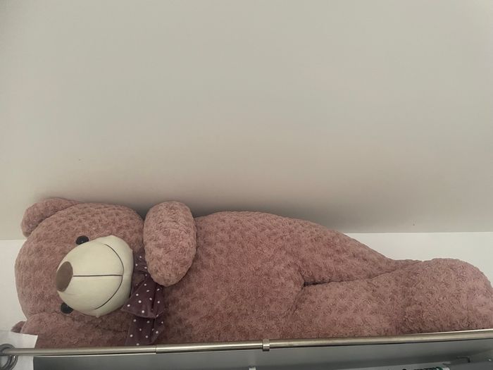 Peluches - photo numéro 3