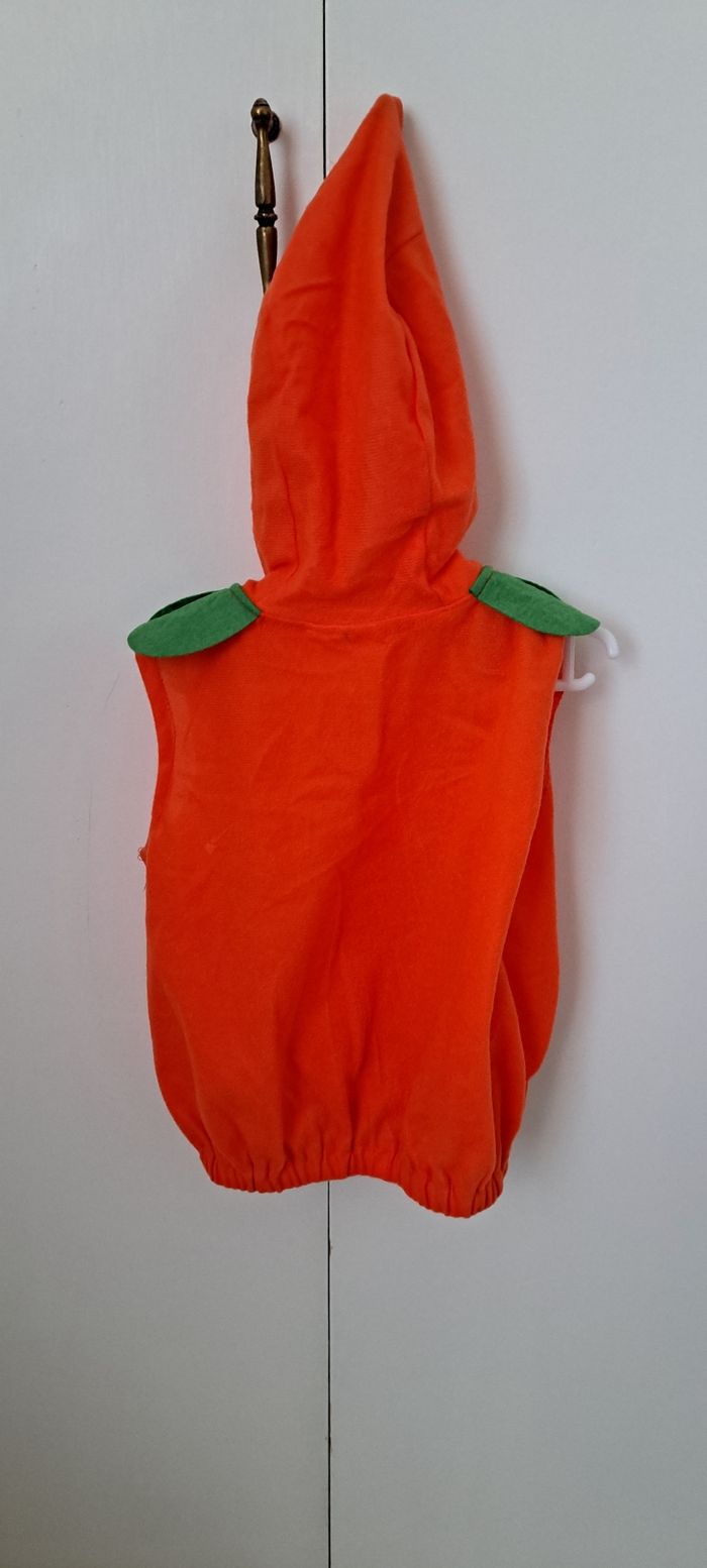 Costume citrouille - photo numéro 4