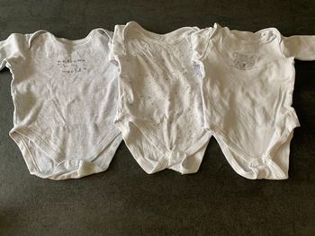 Lot de 3 bodies 18 mois