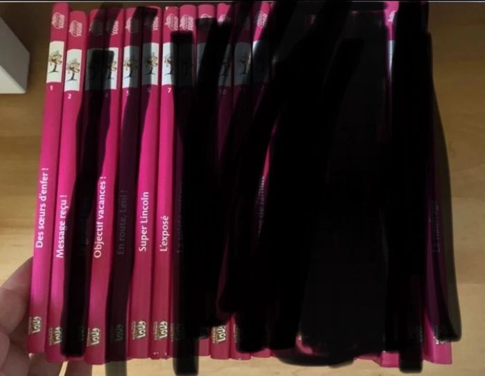 Livre bienvenue chez les loud