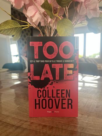 LIVRE TOO LATE COLLEEN HOOVER