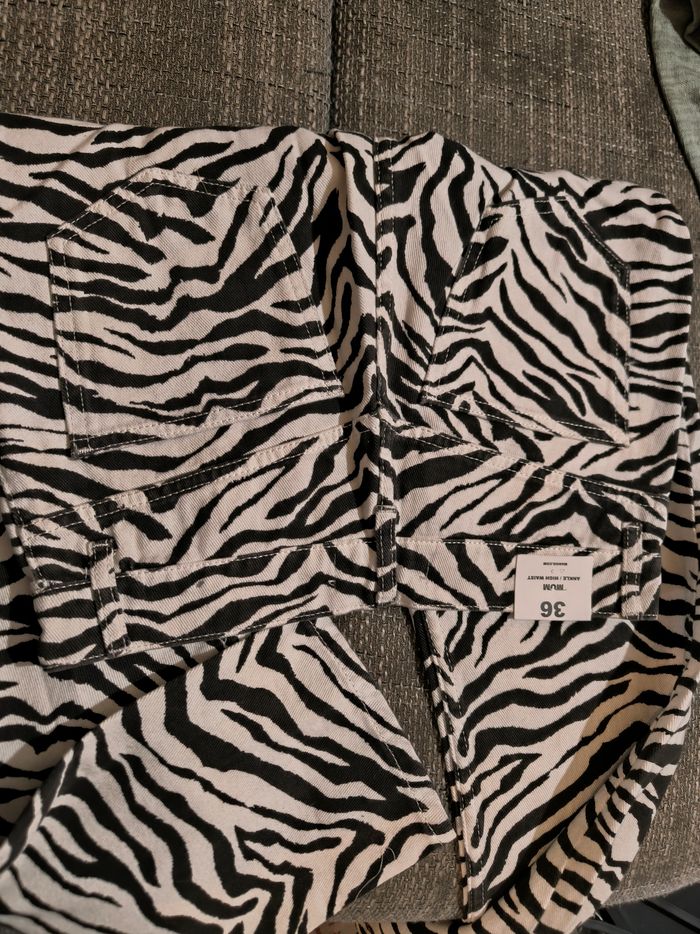 Jean zébré - photo numéro 5