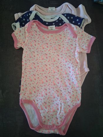 Lot de 3 bodies manche courte Bébé Rêve