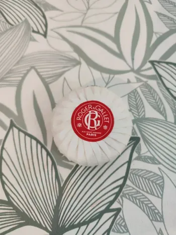 Roger & gallet savon valeur 6€