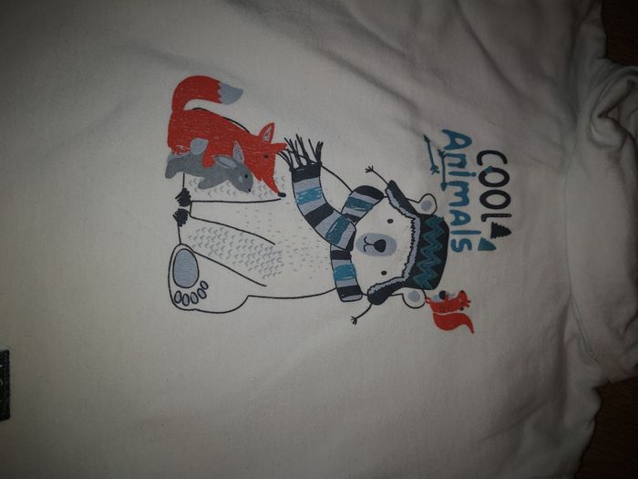 Lot 5 hauts manches longues 24 mois - photo numéro 6