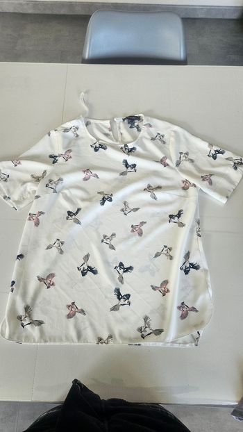 Chemisette colibri femme