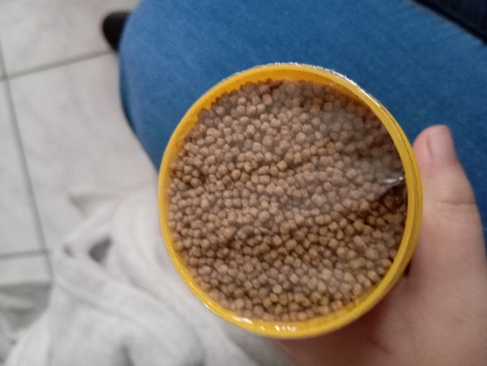 Lot de 2 granulés pour poisson rouge - photo numéro 4