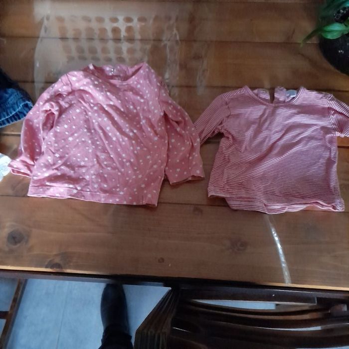 Lot de 2 t-shirts fille 24 mois
