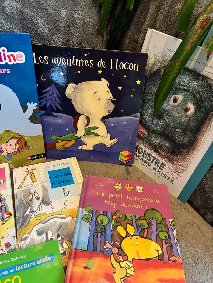 Lot livres jeunesse premières lectures - photo numéro 5