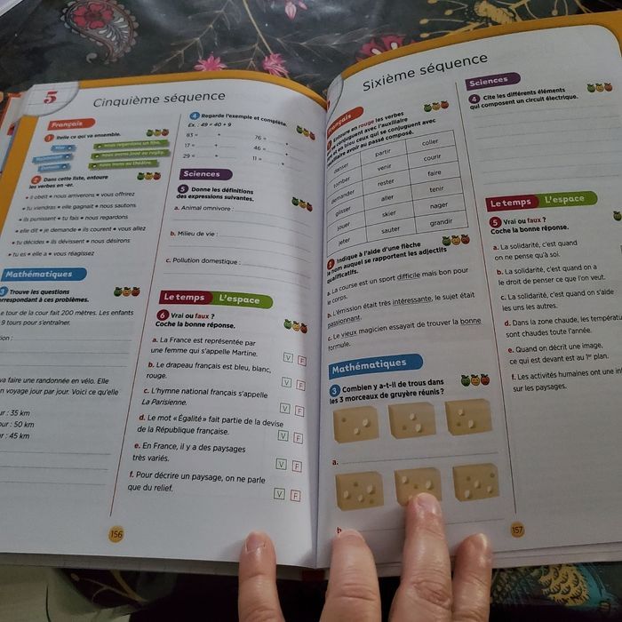 tout le programme CE1 collection Boscher neuf (8e) - photo numéro 7