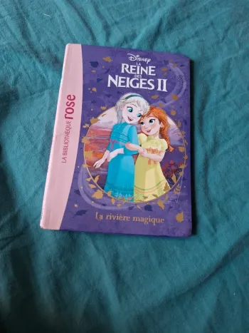 Livre reines des neiges II
