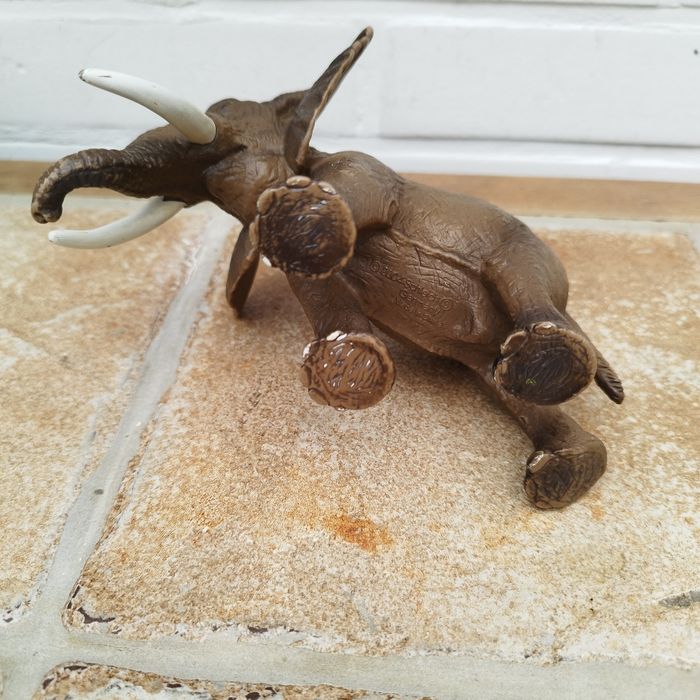 Éléphant d'Afrique mâle - photo numéro 5