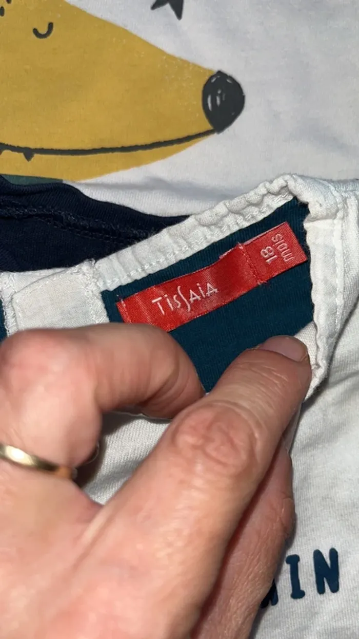 Lot tee-shirts manche longue 18 mois - photo numéro 9