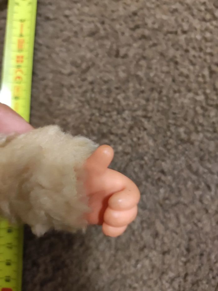 chien style kiki - photo numéro 5