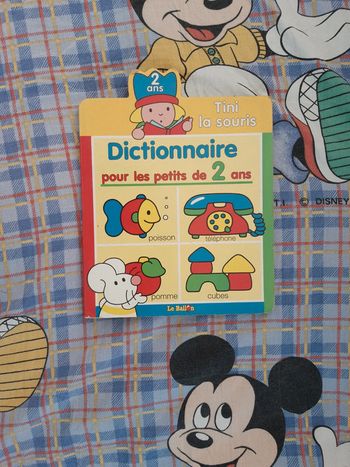 Dictionnaire pour les petits