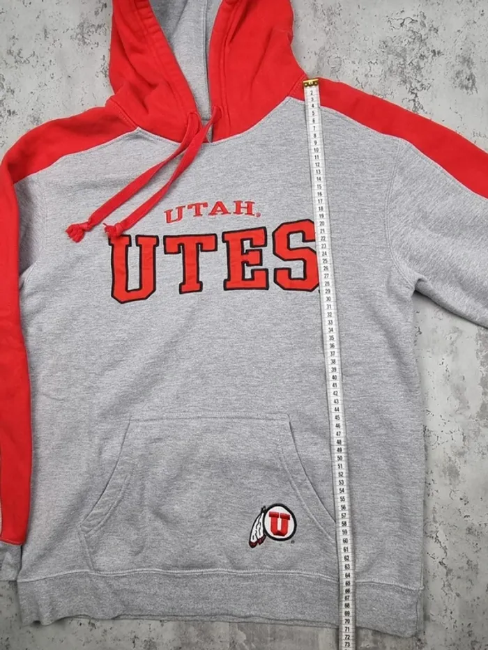 Pull capuche universitaire gris/rouge, L Hommes - photo numéro 6