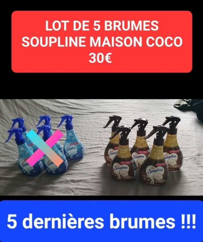 Lot 5 soupline brumes COCO