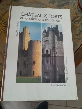 Livre les châteaux forts