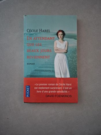 En attendant que les beaux jours reviennent