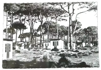 Carte postale ancienne   Calvi (Corse)  Le Club de l' Horizon