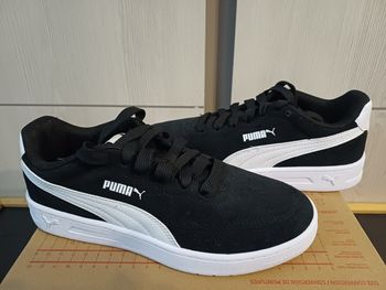 Basket Puma