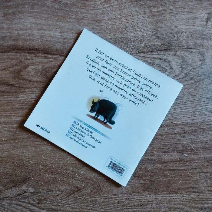 📚 Livre Doubi et le monstre noir #emyfleury_livres - photo numéro 3