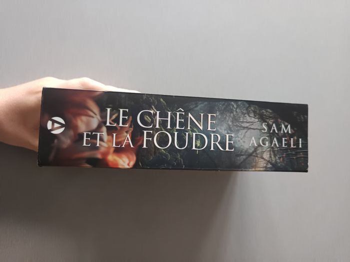 Le chêne et la foudre - photo numéro 2