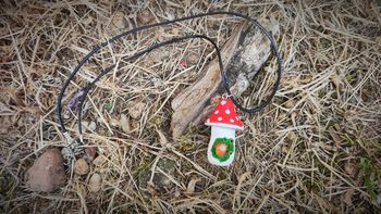 Champignon féerique