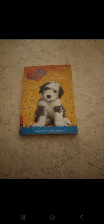 Livre les chiots magique