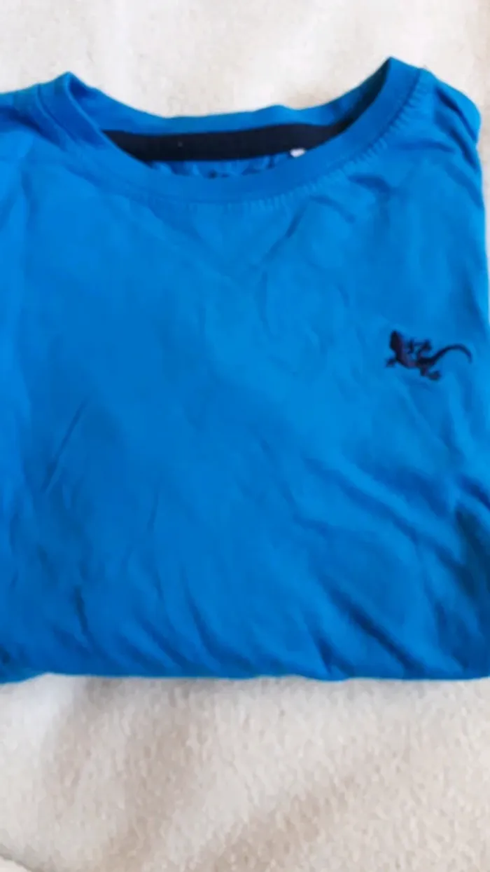 Tee shirt manches longues brodé salamandre garçon marque Basic taille 6 ans - photo numéro 3