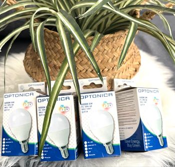 Lot ampoules E14 LED