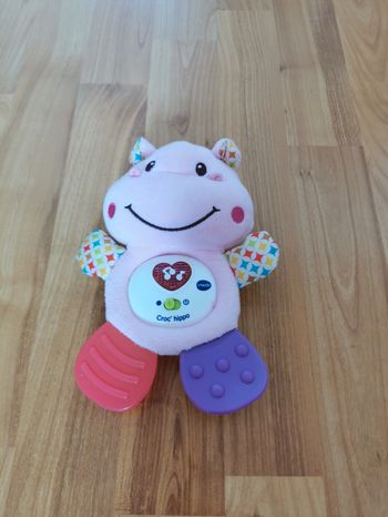 Croc hippo