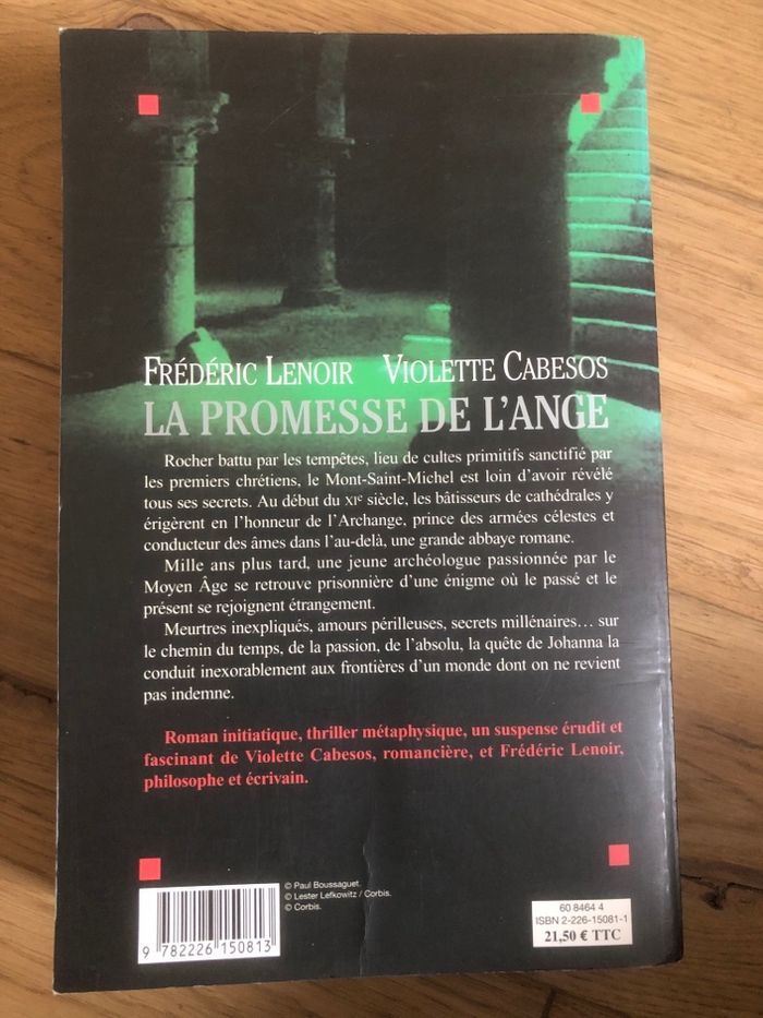 La promesse de l’ange - Frederic Lenoir - photo numéro 2