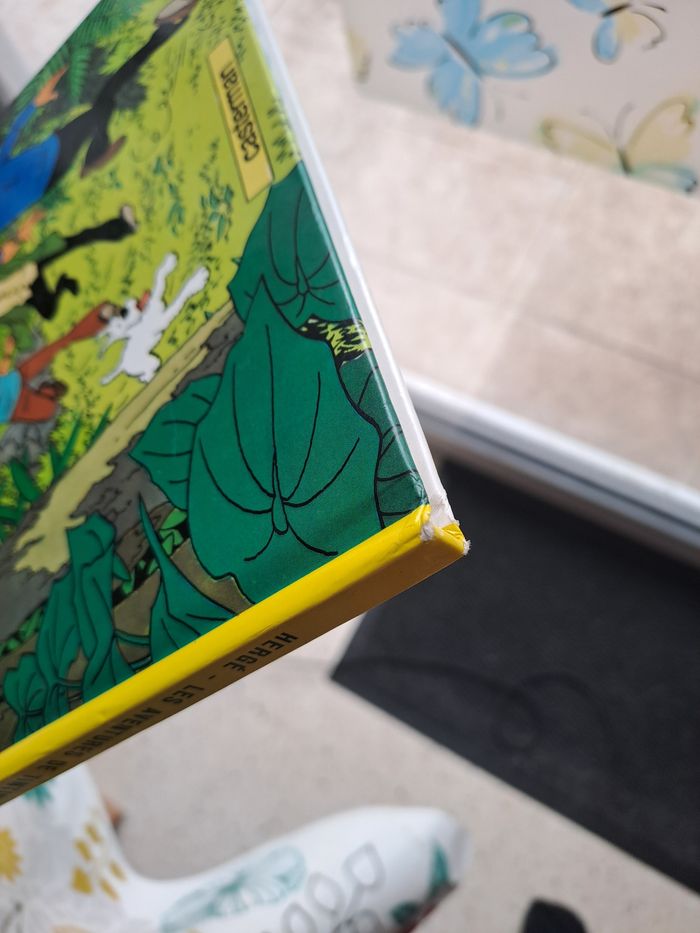 Tintin et les picaros - photo numéro 4