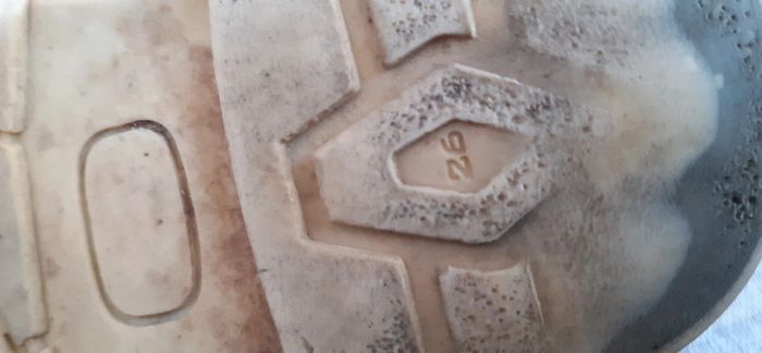 Chaussures T 26 - photo numéro 7