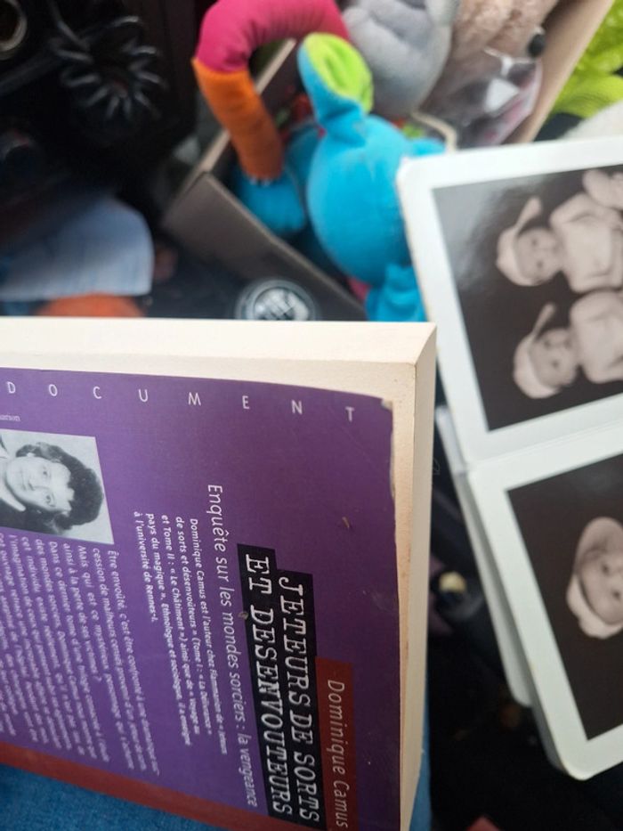 Tome 3 jeteur de sorts et desenvoutements la vengeance - photo numéro 11