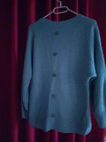Pull bleu