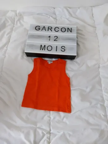 Tee-shirt manche courte garçon 12 mois