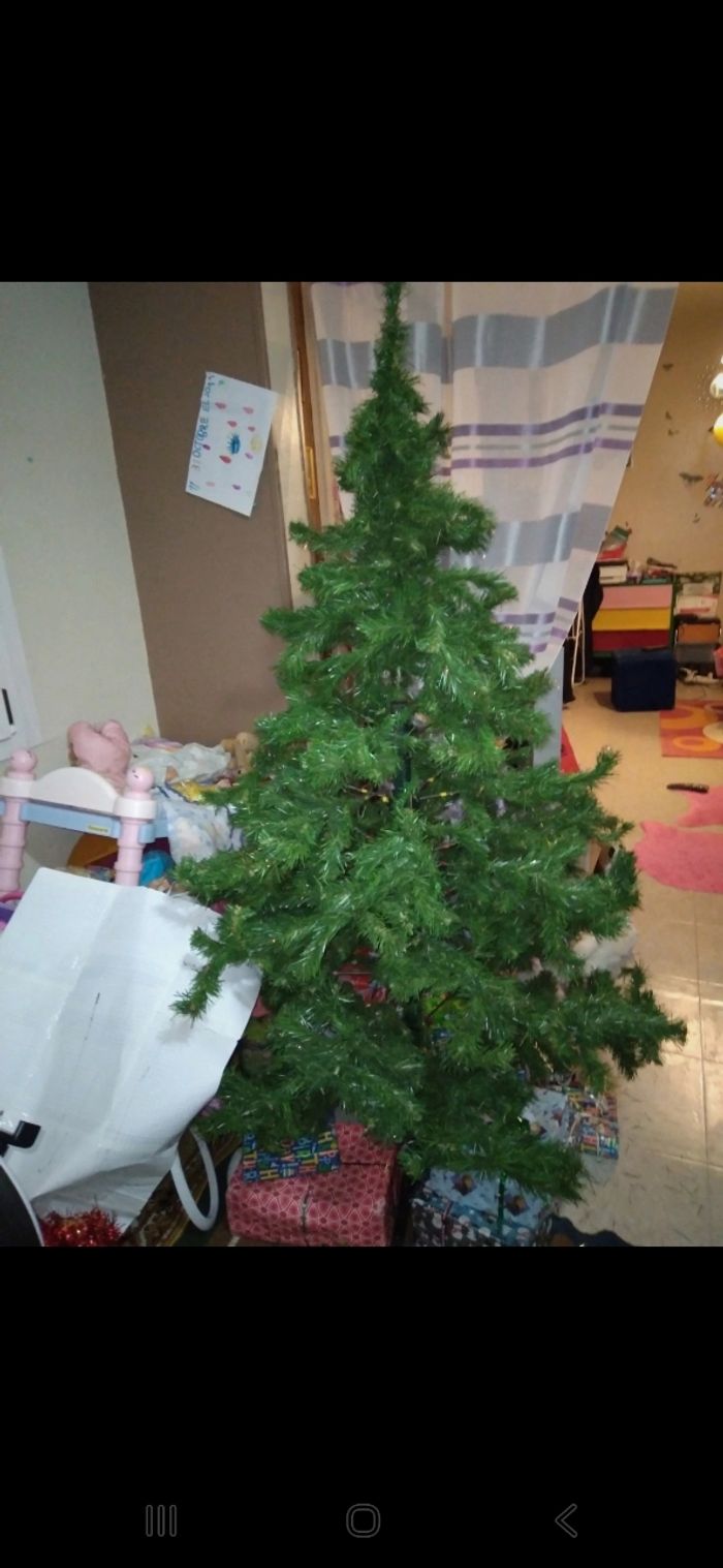 Sapin de Noël - photo numéro 3