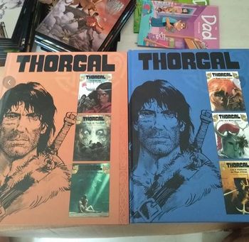 BD Thorgal Tomes 1 à 6 en 2 livres