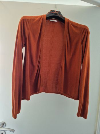 Gilet camaieu marron rouille 