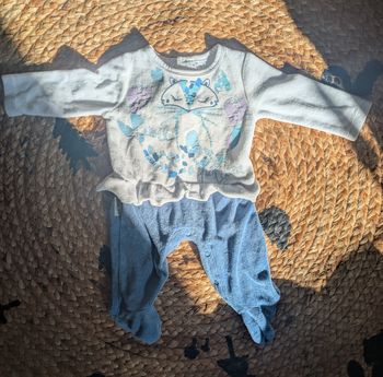 Petit Béguin