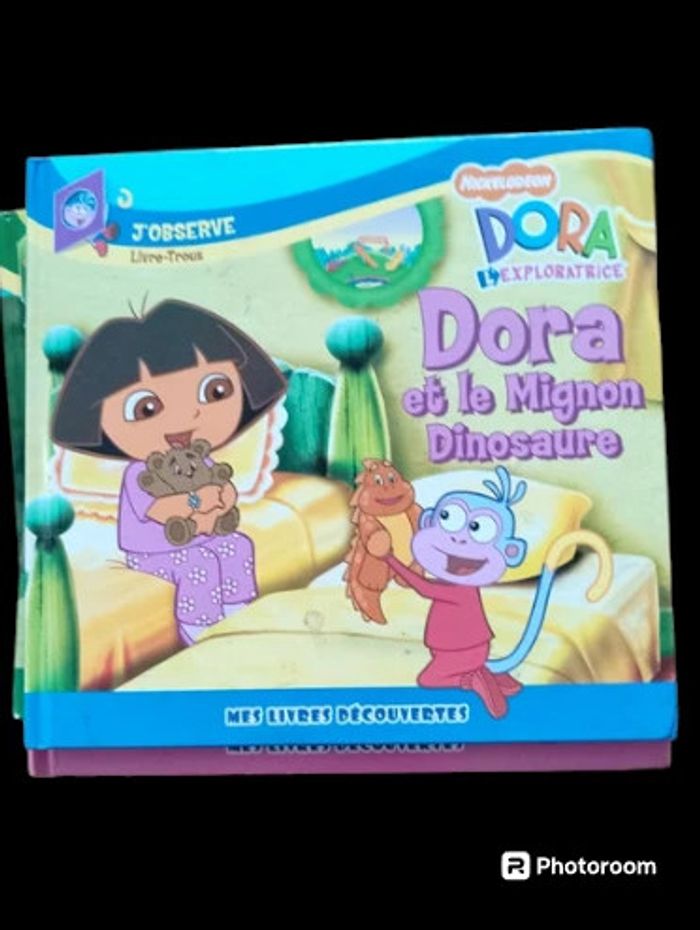 Dora l' exploratrice - photo numéro 14